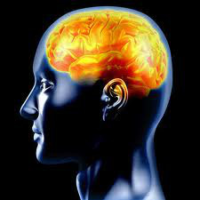 energy psychologie paris cabinet bernard mayer paris energy psychologie paris cabinet bernard mayer paris energy psychologie paris cabinet bernard mayer paris energy psychologie paris cabinet bernard mayer paris energy psychologie paris cabinet bernard mayer paris energy psychologie paris cabinet bernard mayer paris